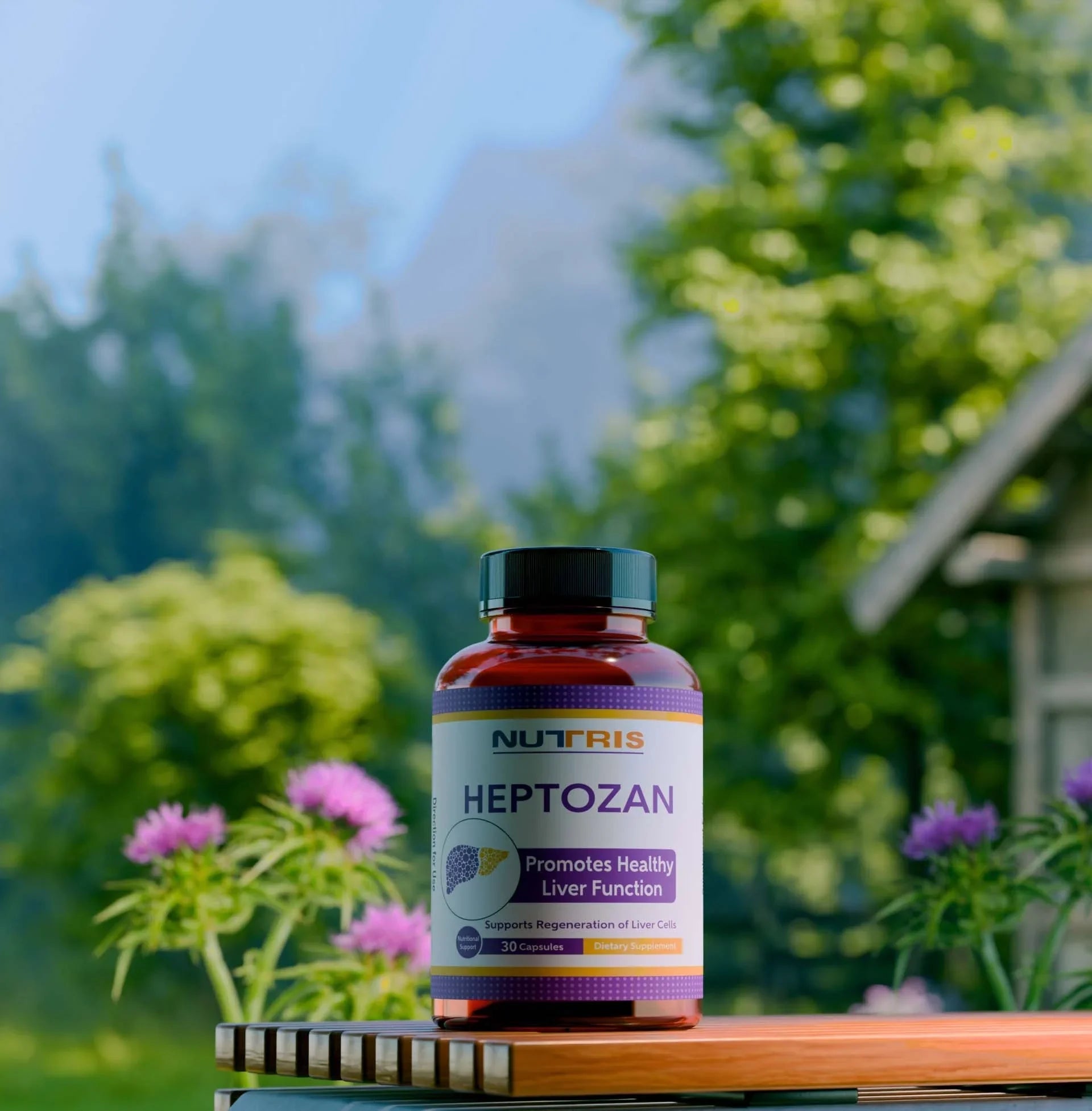 Heptozan - Milk Thistle For Fatty Liver